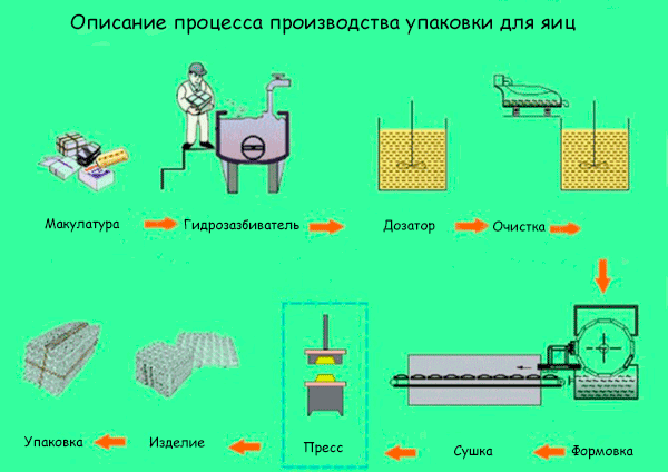 Описание процесса производства упаковки для яиц