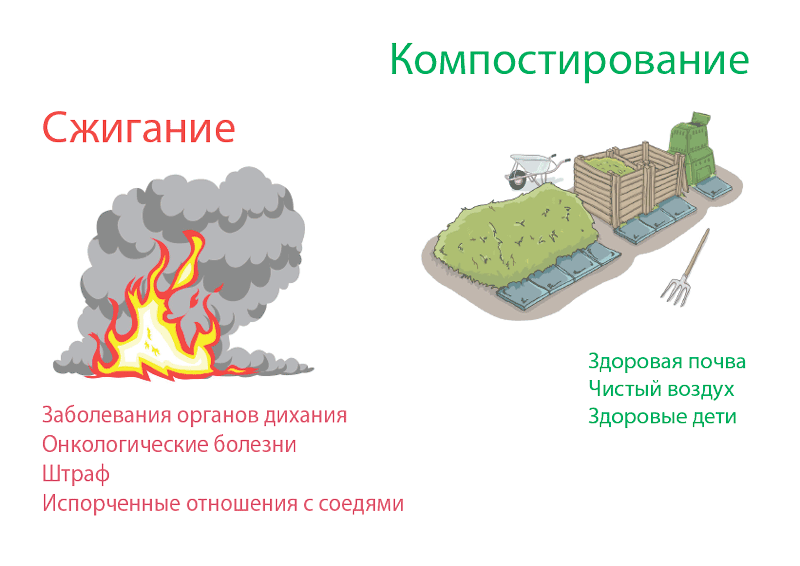 Сжигание и компостирование