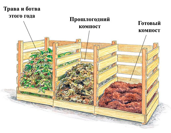 Этапы приготовления растительного компоста