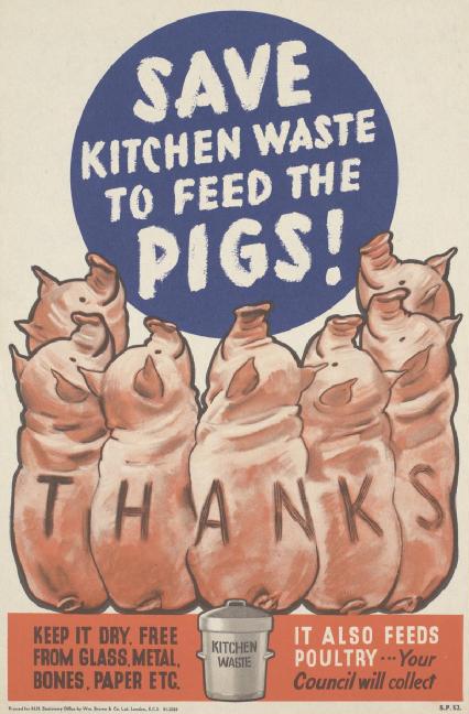 Берегите кухонные отходы для кормежки свиней!