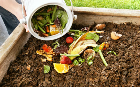 Высыпьте пищевые отходы в компостную кучу или компостер