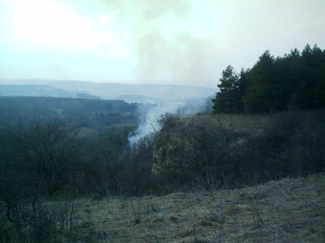 Пожар в природном парке