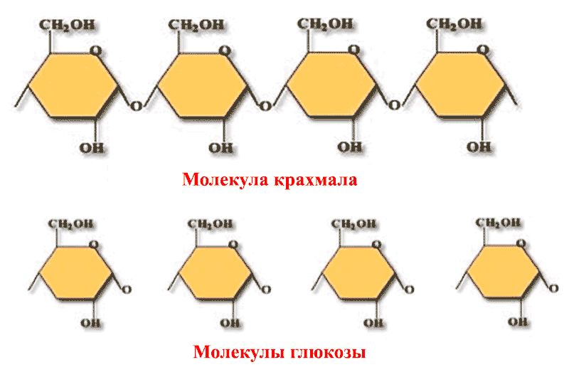 Гидролиз крахмала