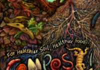 For Healthier Soil, Healthier Food…Compost!