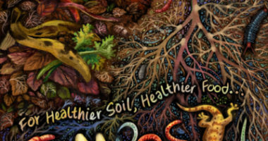 For Healthier Soil, Healthier Food…Compost!