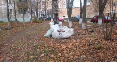 Опавшие листья в мешках